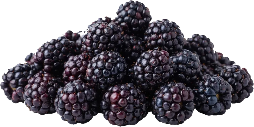 Schale mit Brombeeren