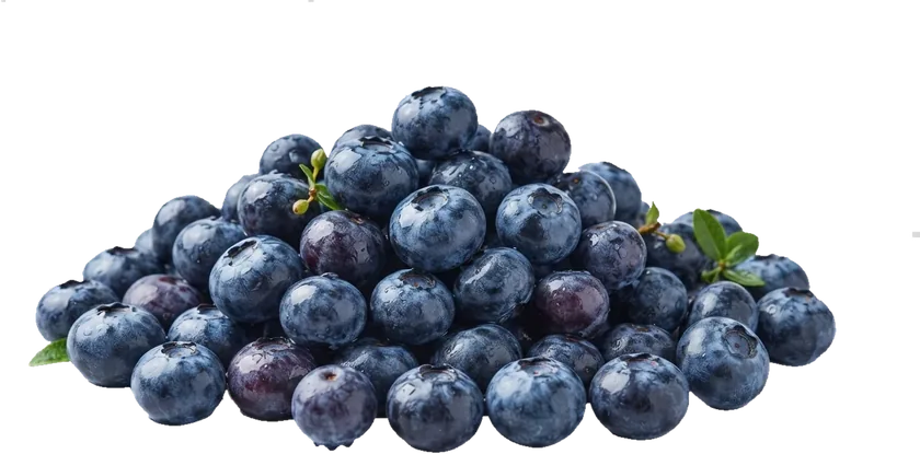 Schale mit Heidelbeeren