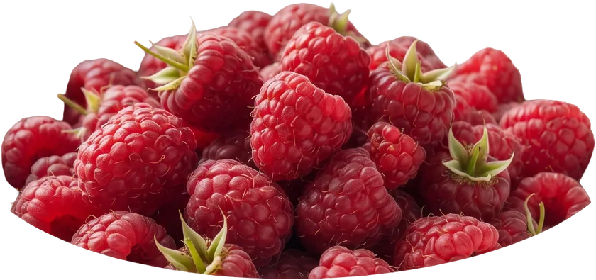 Schale mit Himbeeren